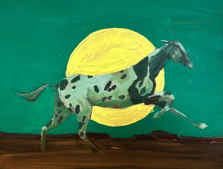 Appaloosa Moon 1